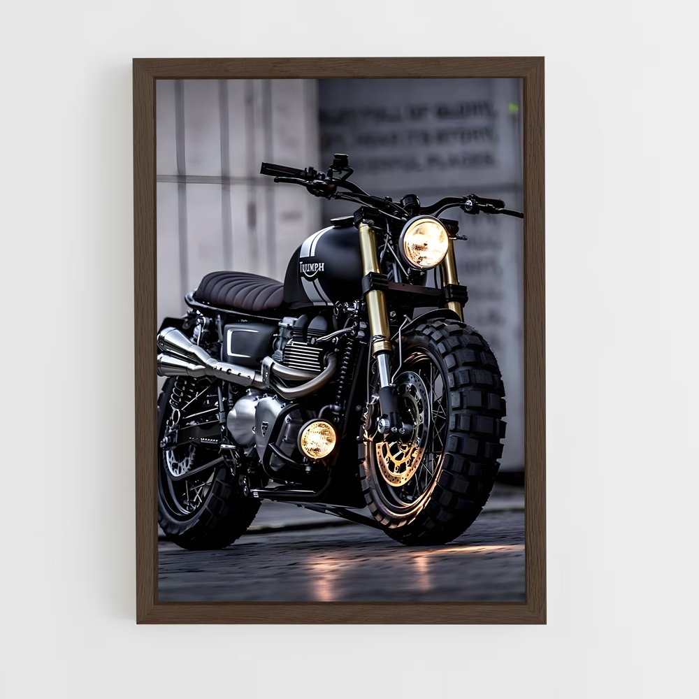 Poster Éclat Triomphal – affiche Triumph (vue 5)