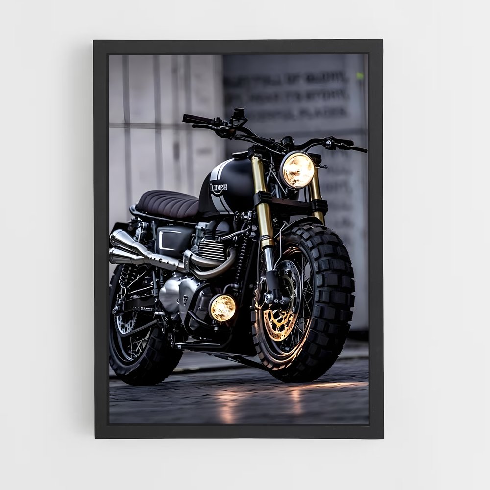 Poster Éclat Triomphal – affiche Triumph (vue 2)