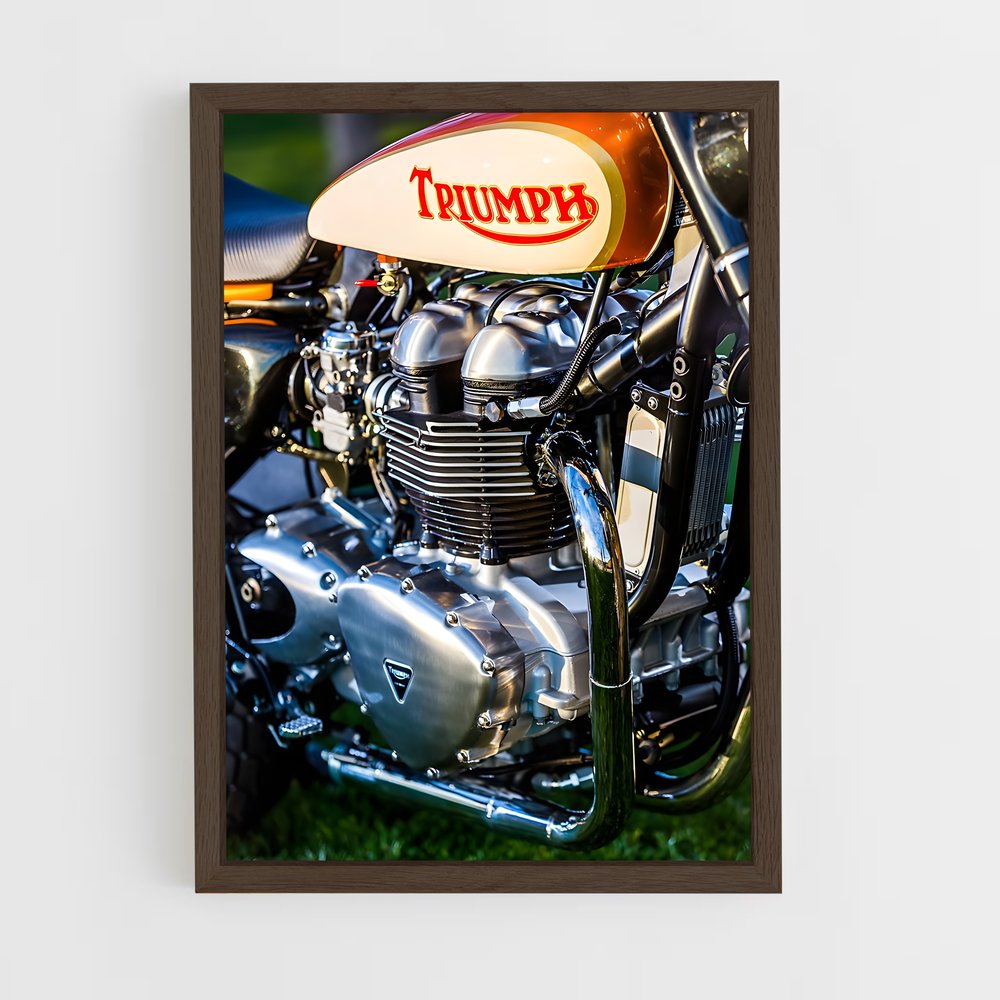 Poster L'Exploit à Deux Roues – affiche Triumph (vue 5)