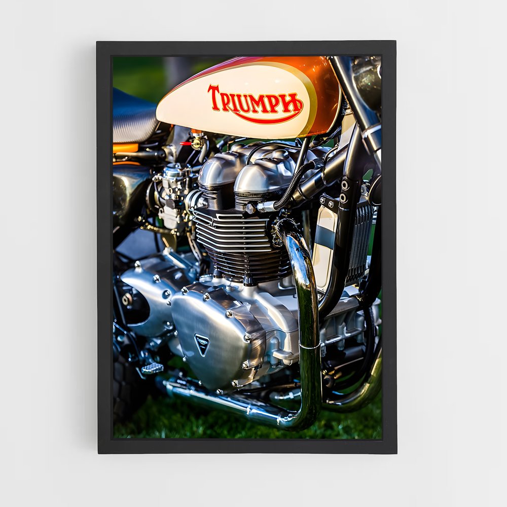 Poster L'Exploit à Deux Roues – affiche Triumph (vue 2)