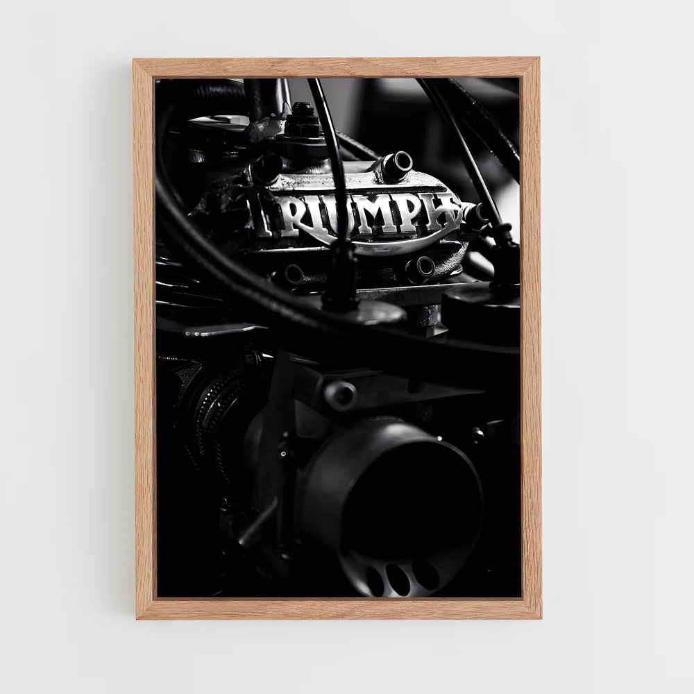 Poster Rayonnement Victorieux – affiche Triumph (vue 4)