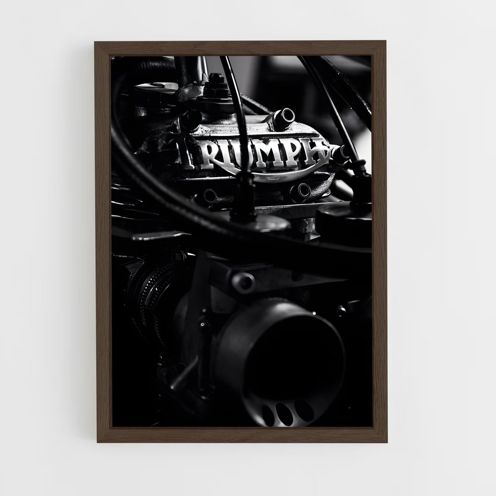 Poster Rayonnement Victorieux – affiche Triumph (vue 5)