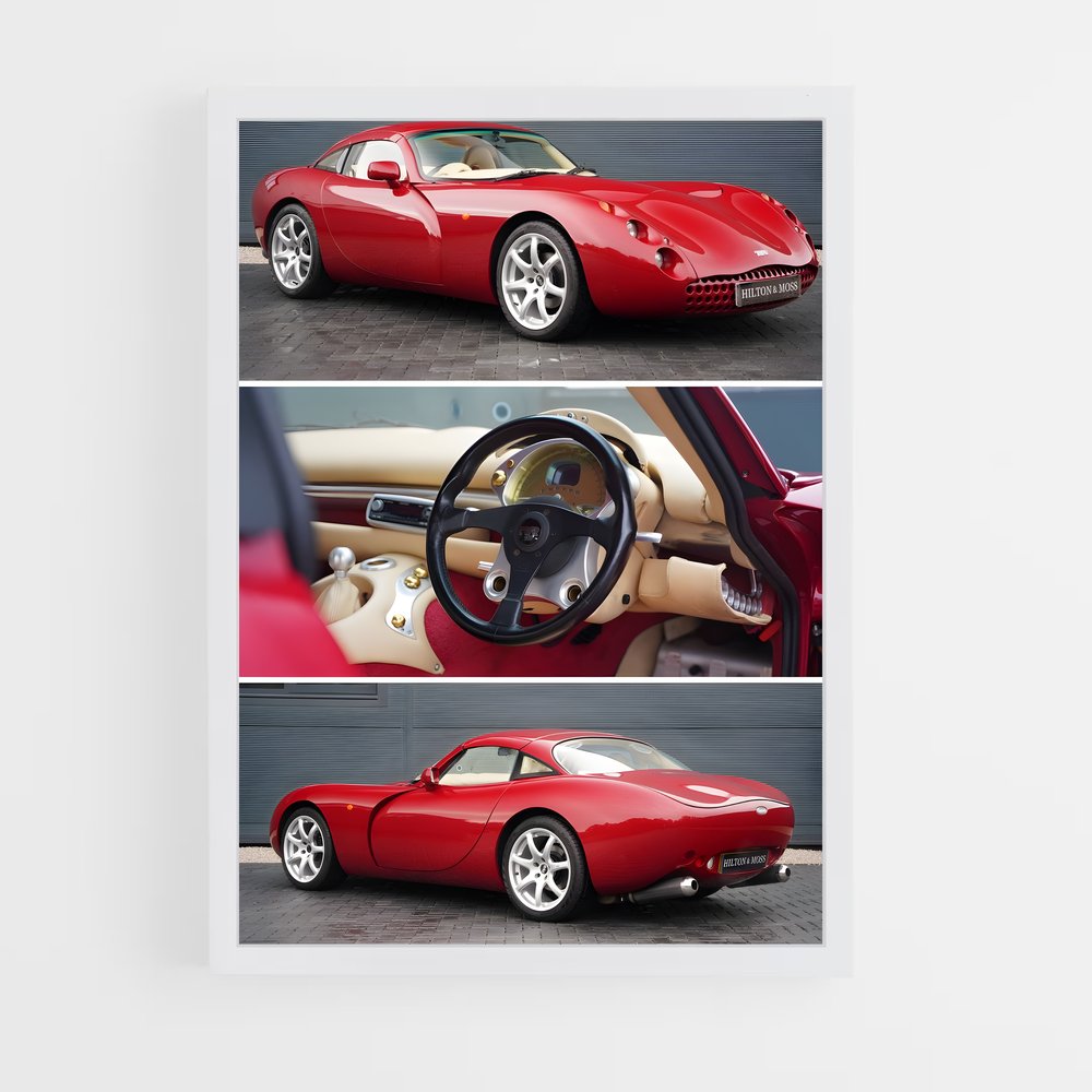 Poster Tvr magnifique (vue 3)