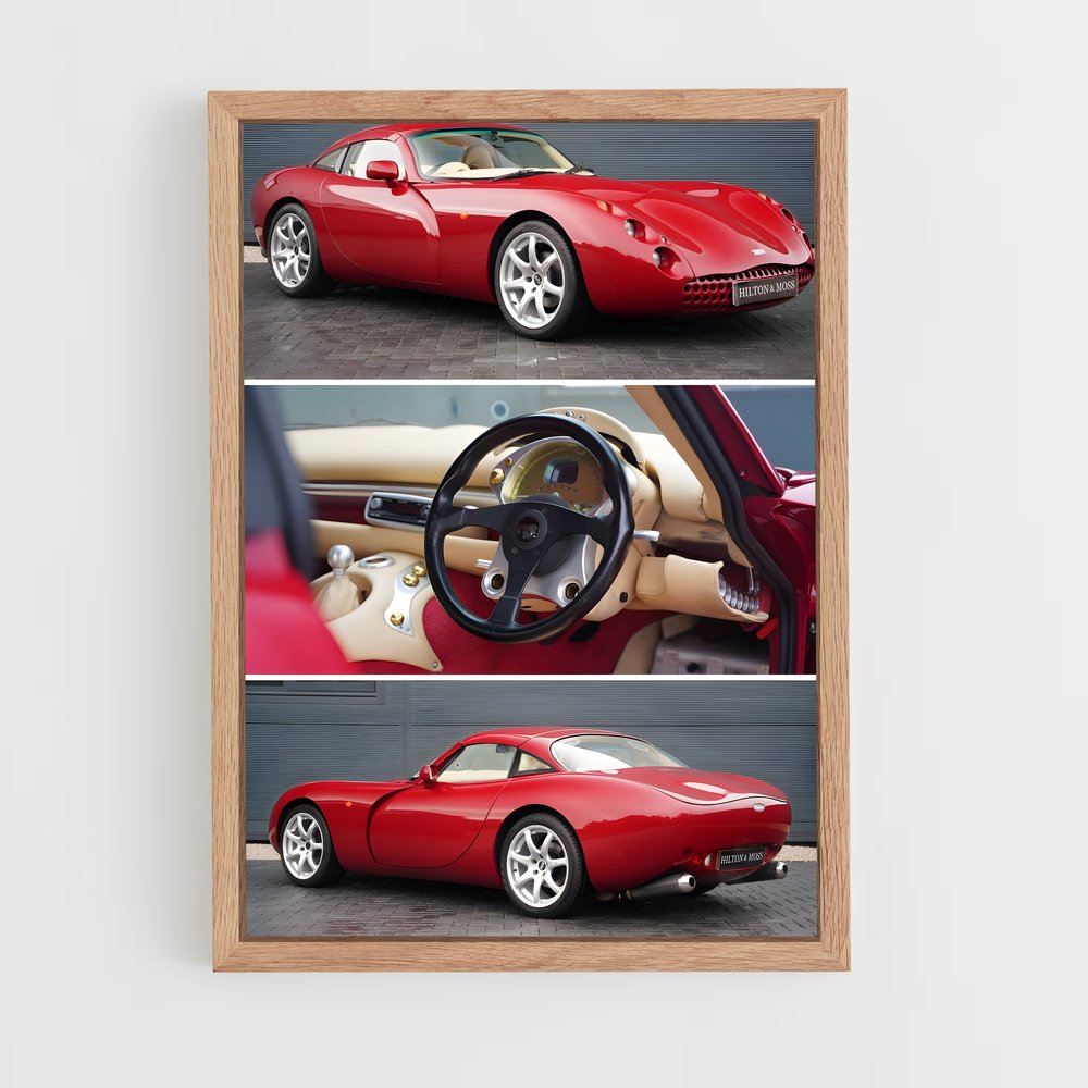 Poster Tvr magnifique (vue 4)