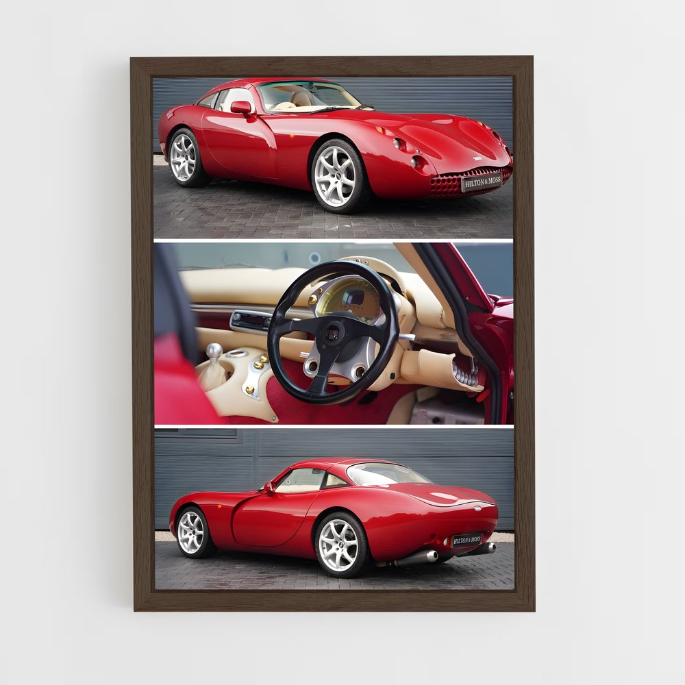 Poster Tvr magnifique (vue 5)