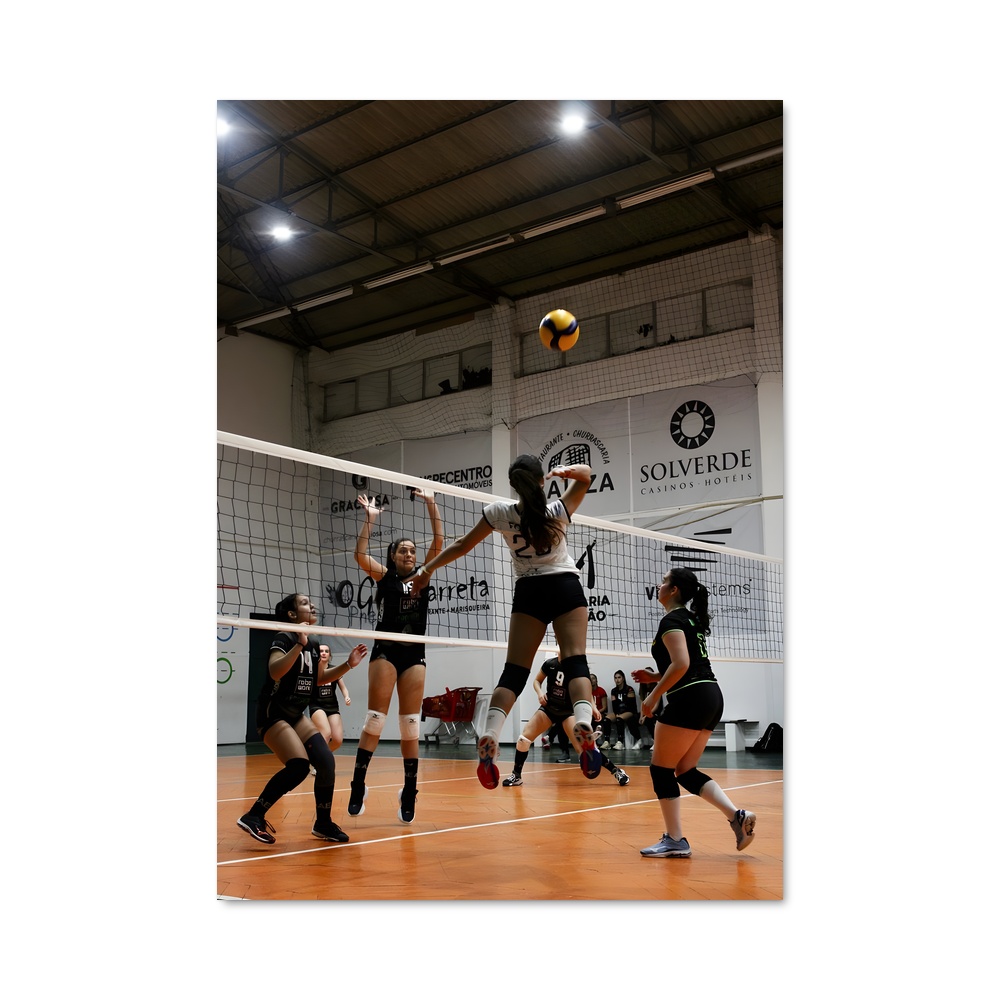 Poster Volleyball Terrain