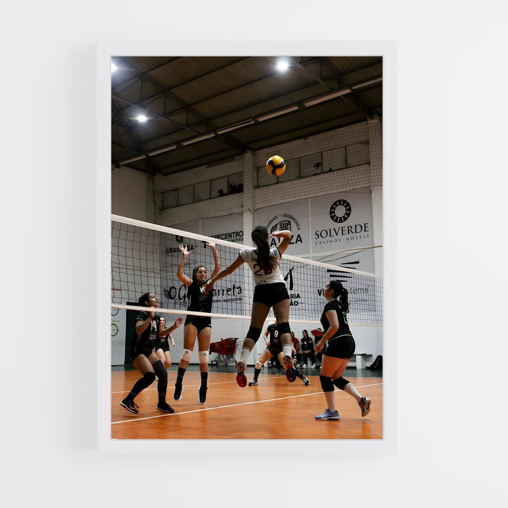 Poster Volleyball Terrain (vue 3)