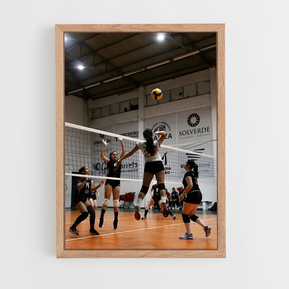 Poster Volleyball Terrain (vue 4)