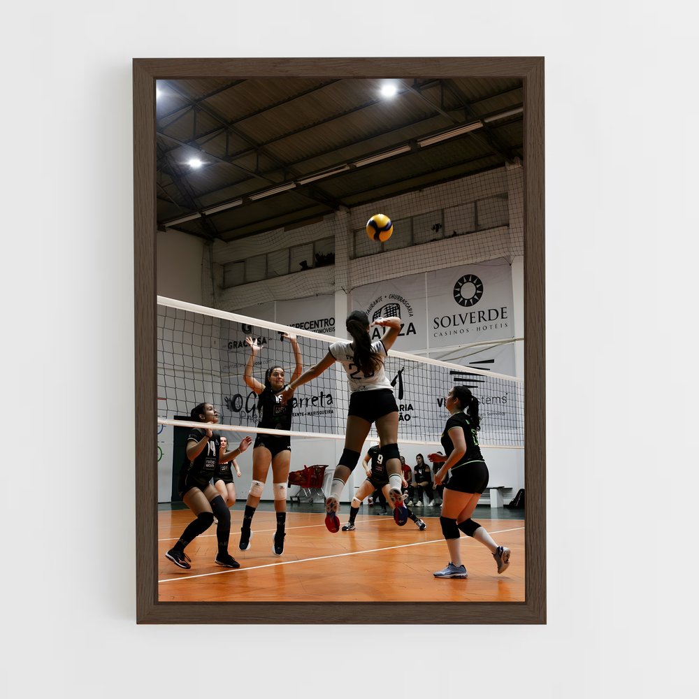 Poster Volleyball Terrain (vue 5)