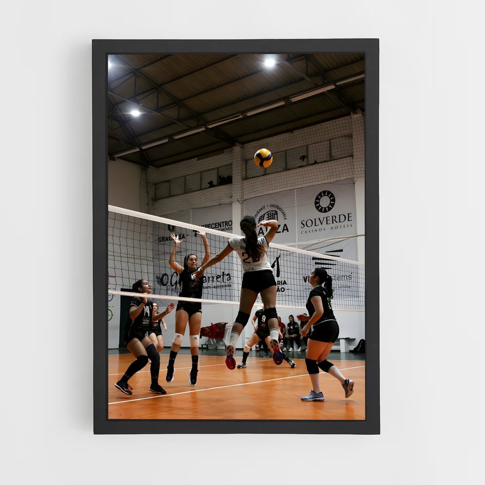 Poster Volleyball Terrain (vue 2)