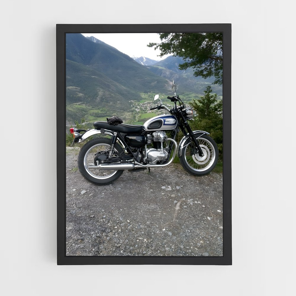 Poster Éblouissant W650 (vue 2)