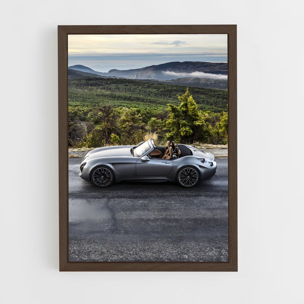 Poster Wiesmann Roadster (vue 5)