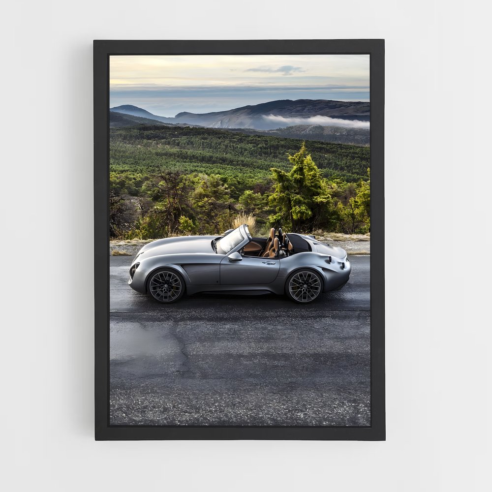 Poster Wiesmann Roadster (vue 2)