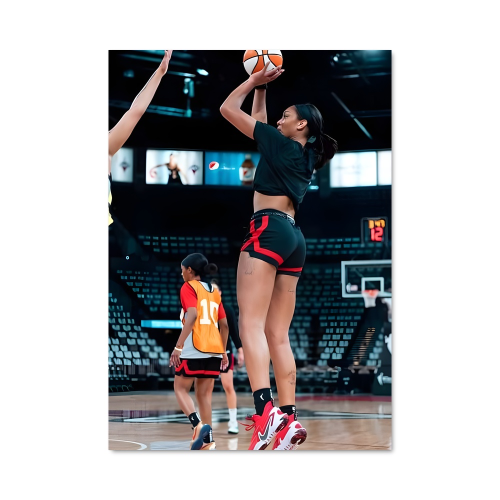 Poster Wnba Féminin