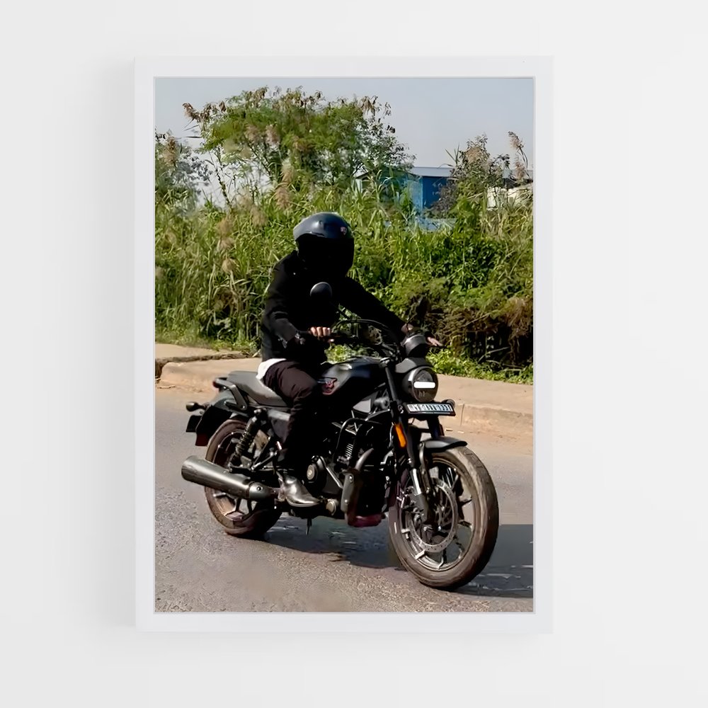 Poster Éclatant X440 (vue 3)