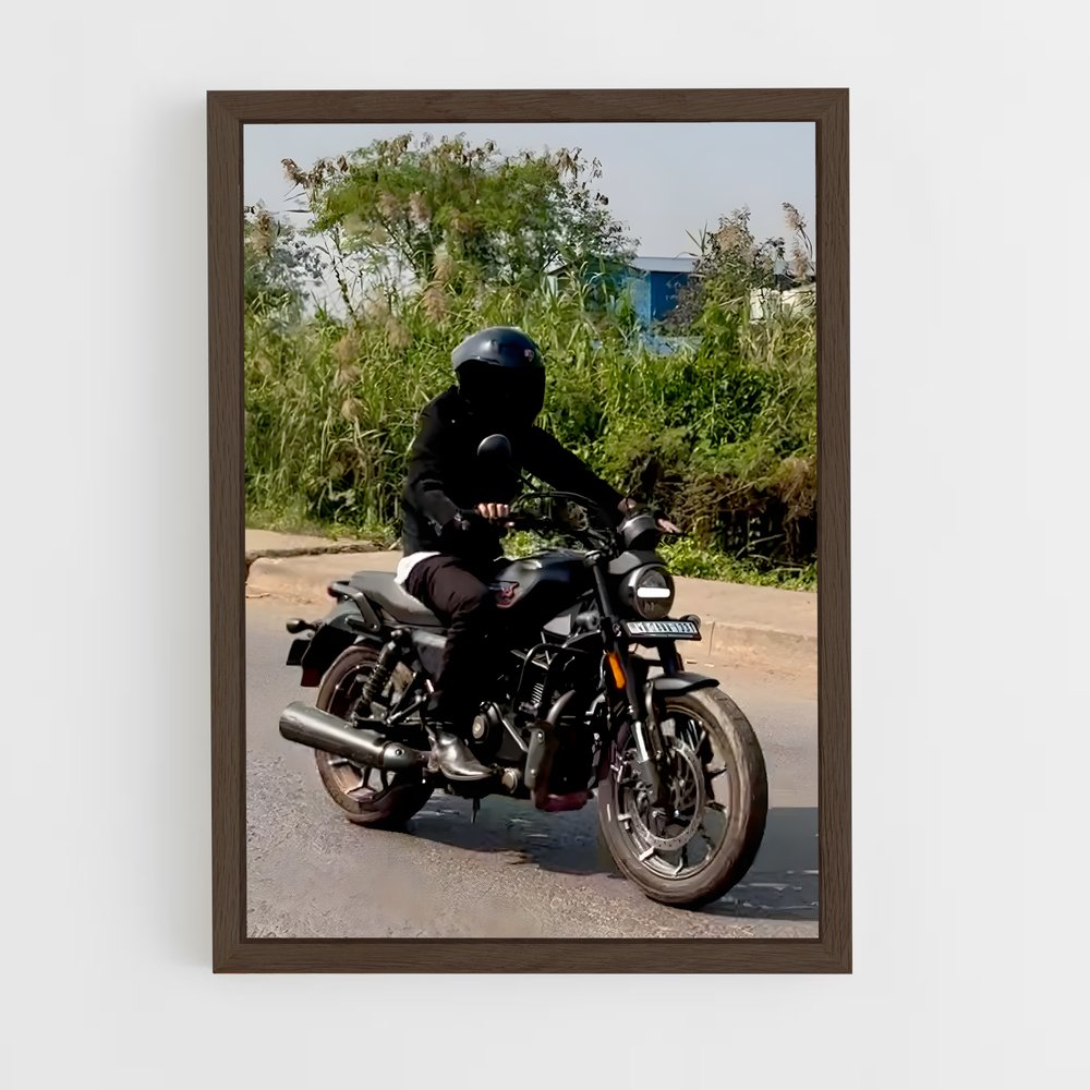 Poster Éclatant X440 (vue 5)