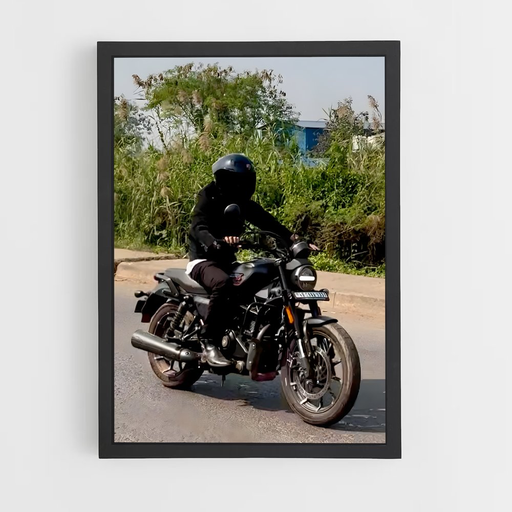 Poster Éclatant X440 (vue 2)