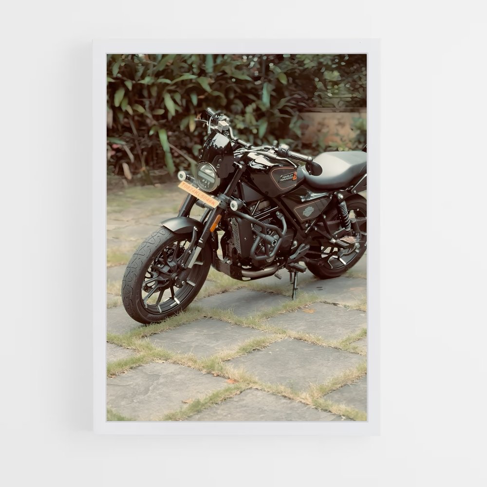 Poster Roadster en Liberté (vue 3)