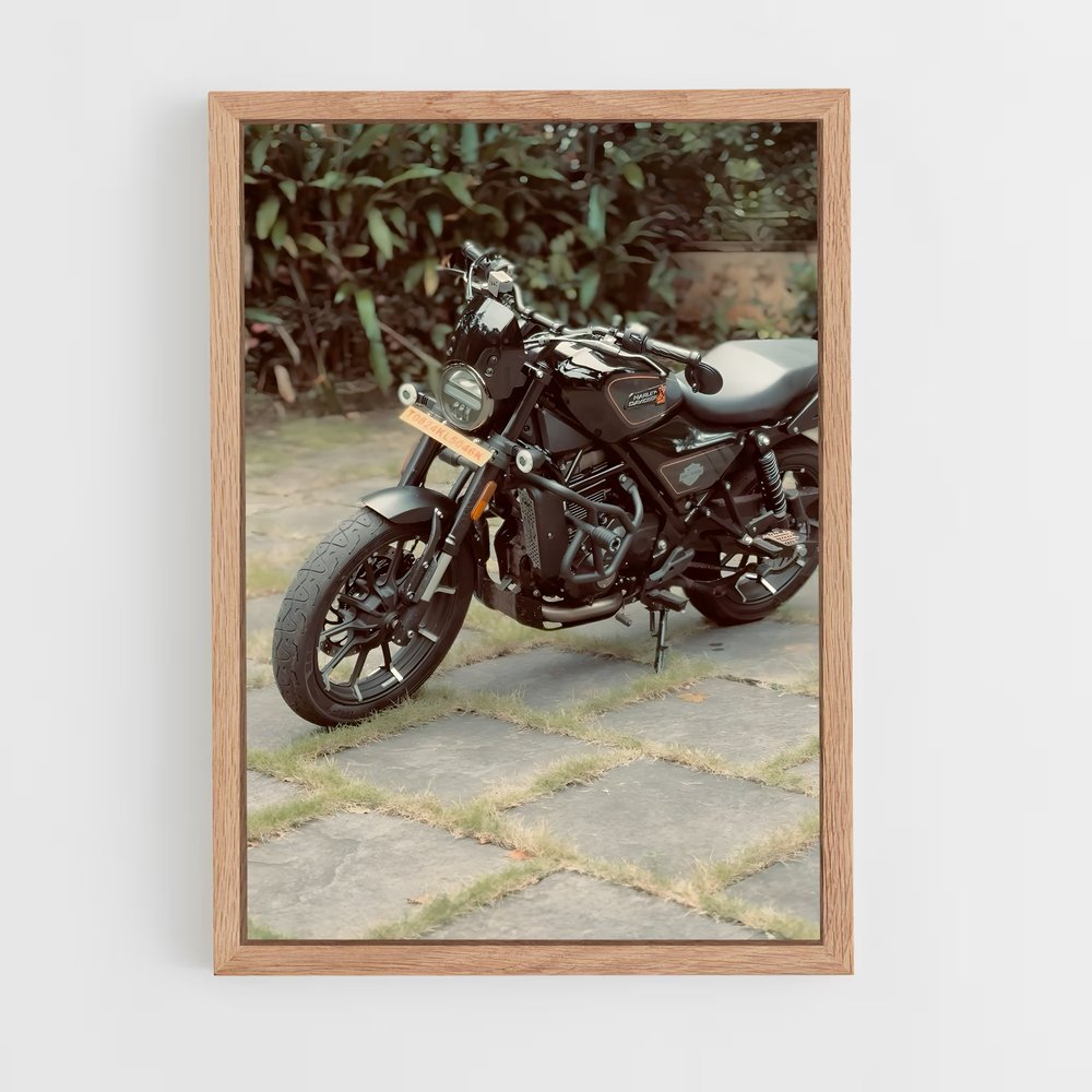 Poster Roadster en Liberté (vue 4)