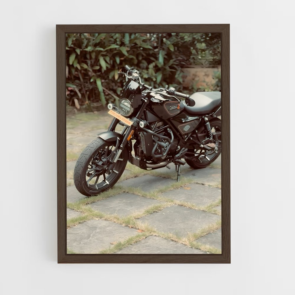 Poster Roadster en Liberté (vue 5)