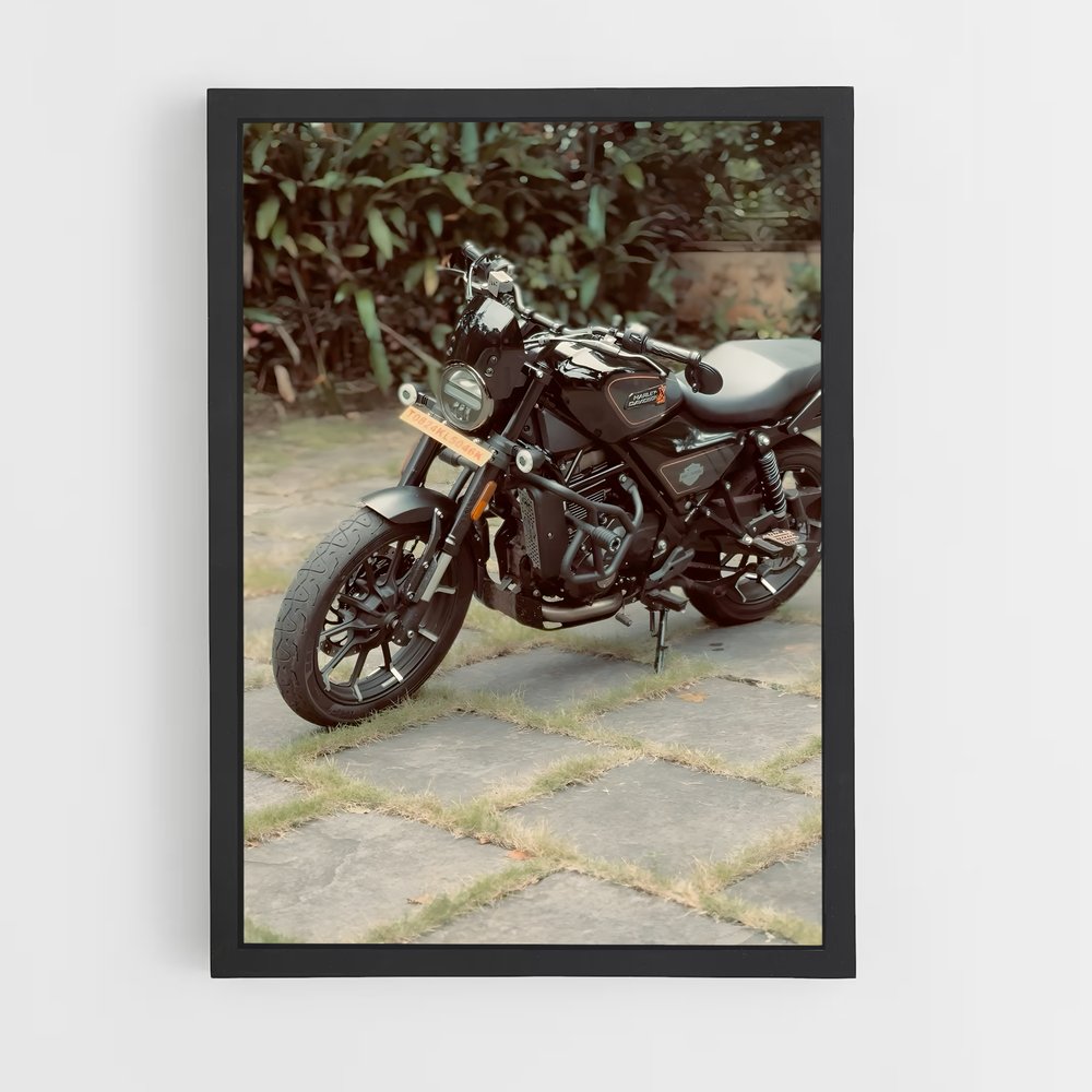 Poster Roadster en Liberté (vue 2)