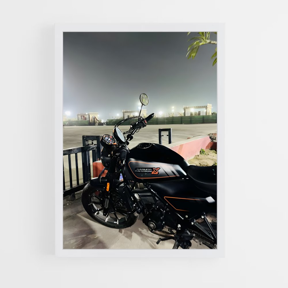 Poster X magnifique (vue 3)