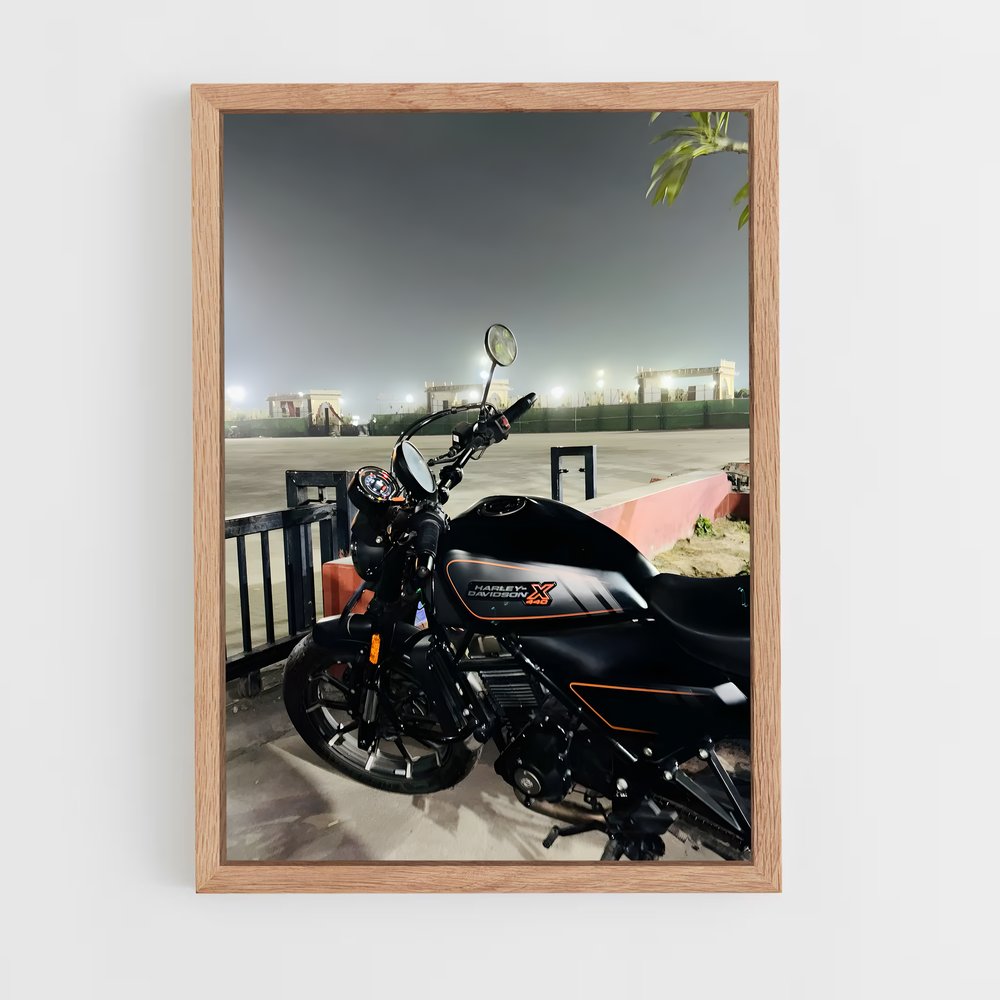 Poster X magnifique (vue 4)