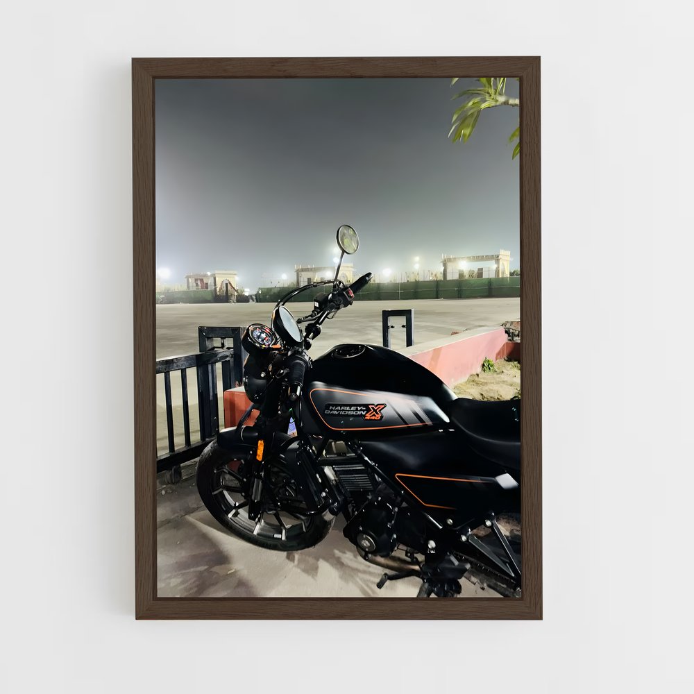 Poster X magnifique (vue 5)