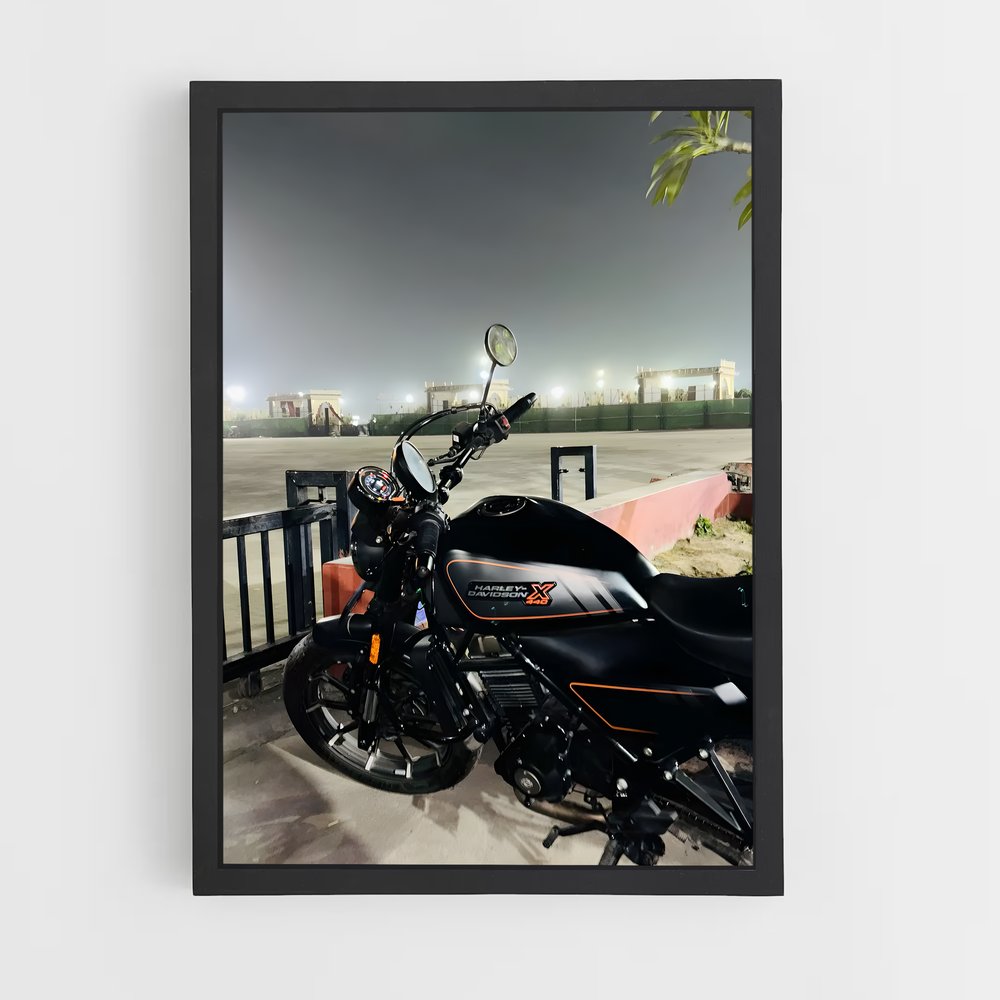 Poster X magnifique (vue 2)