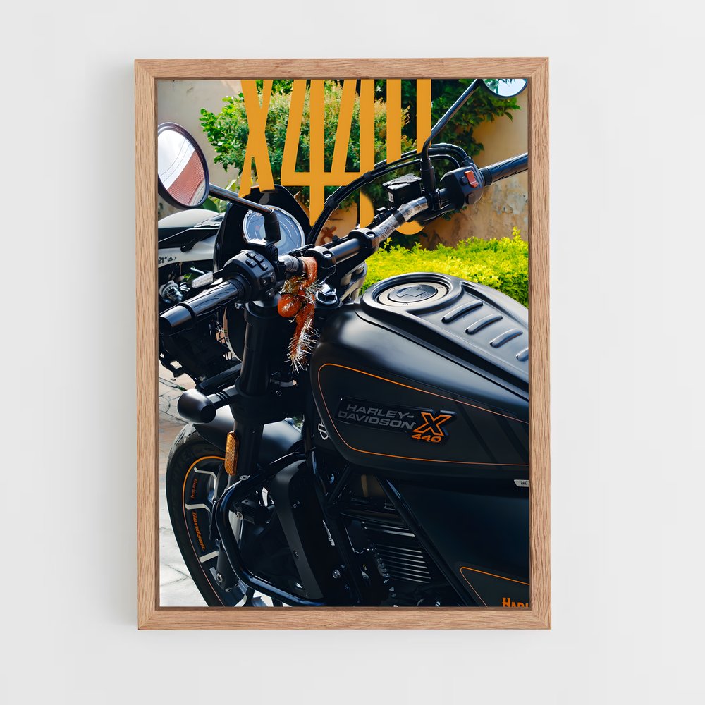 Poster X exceptionnel (vue 4)