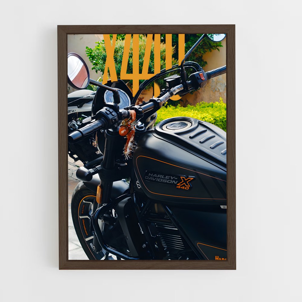 Poster X exceptionnel (vue 5)