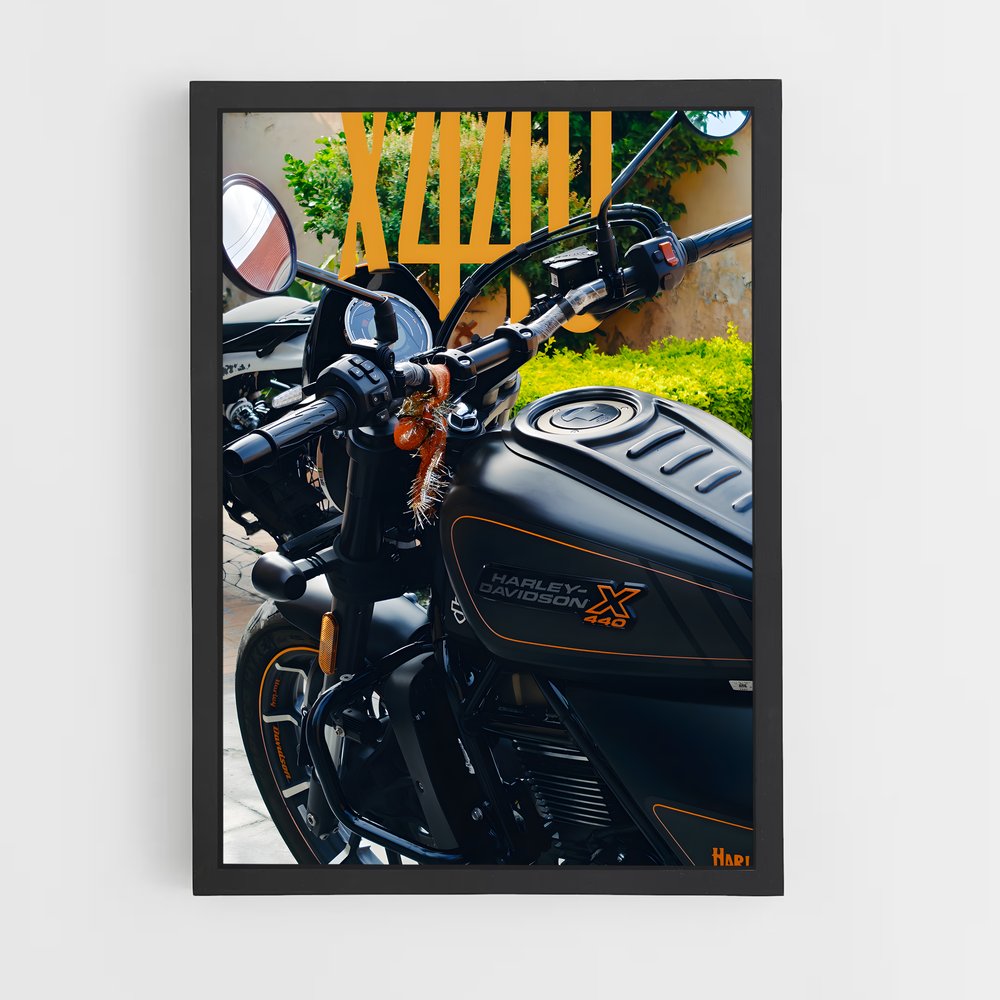 Poster X exceptionnel (vue 2)