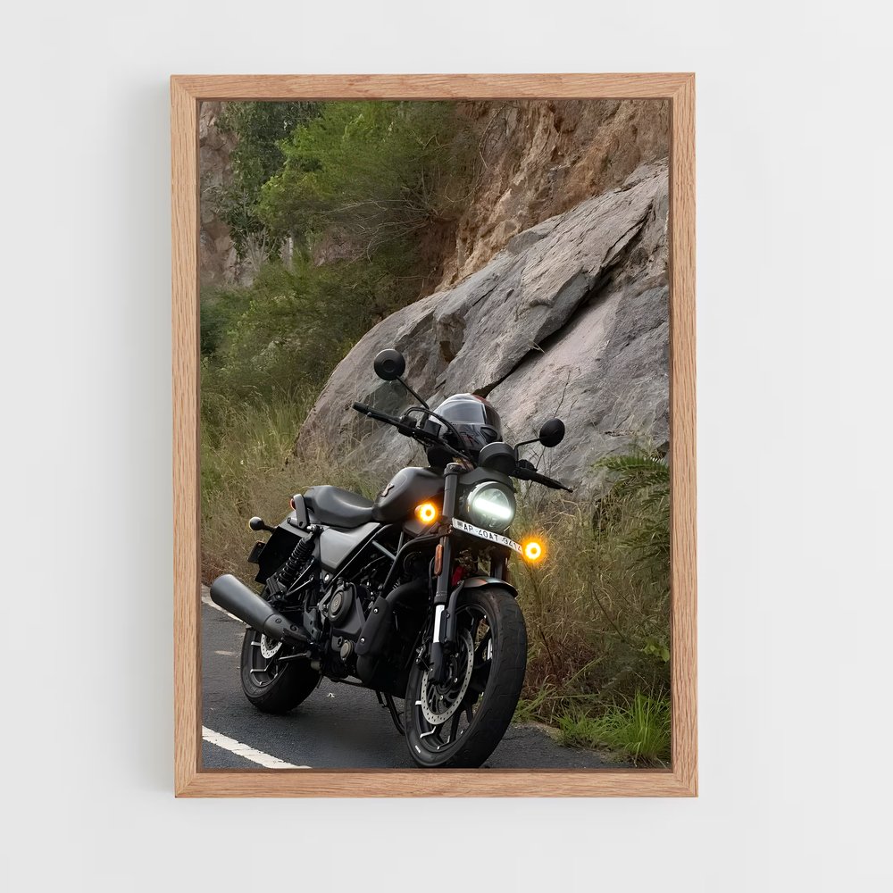 Poster Road Rebel (vue 4)