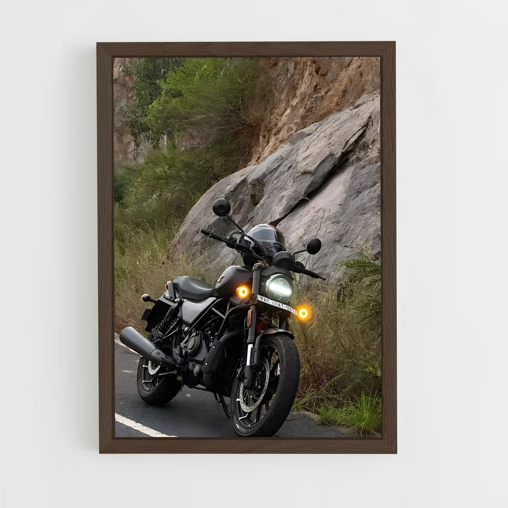 Poster Road Rebel (vue 5)