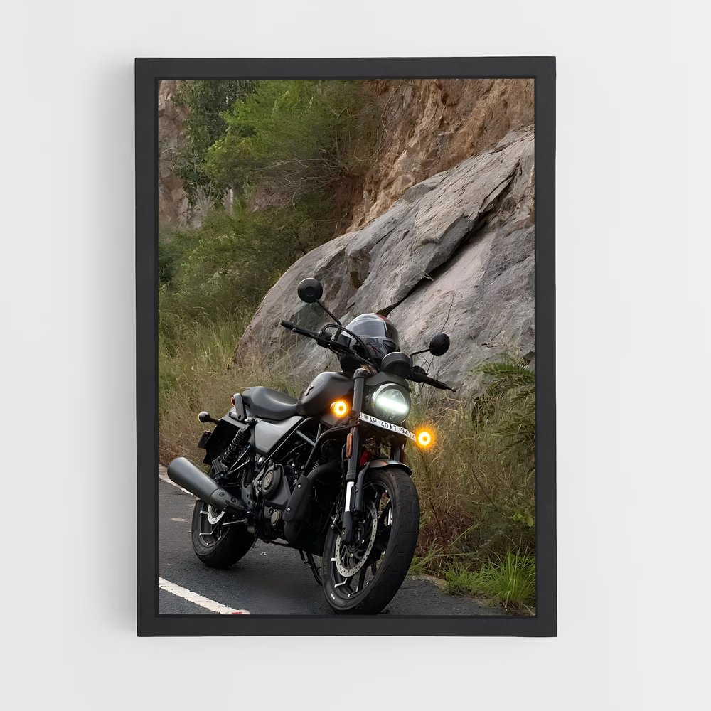 Poster Road Rebel (vue 2)