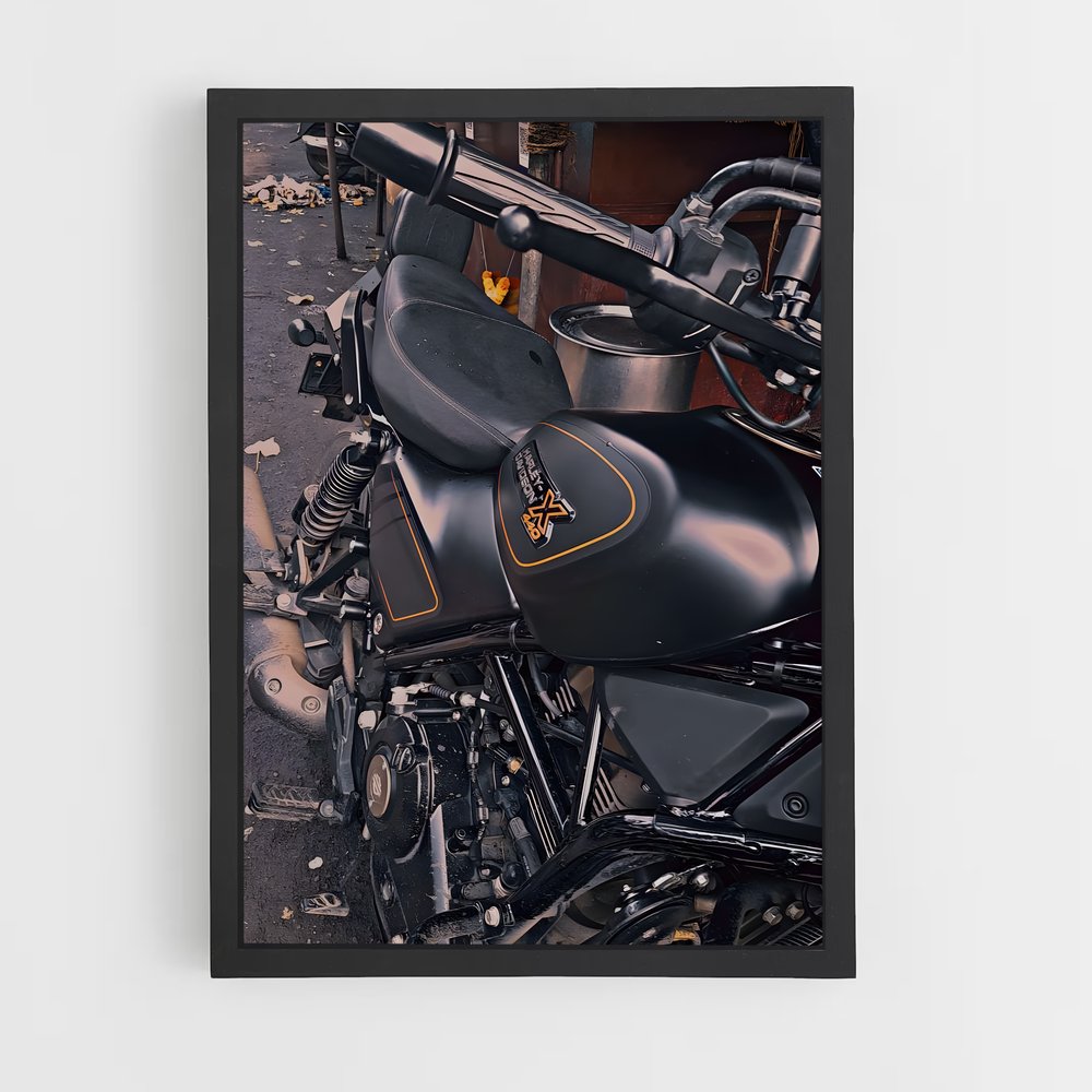 Poster X splendide (vue 2)