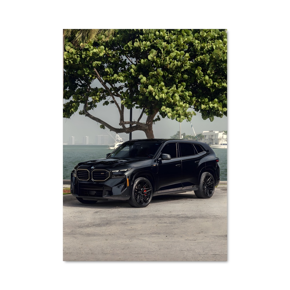 Poster BMW & Nature