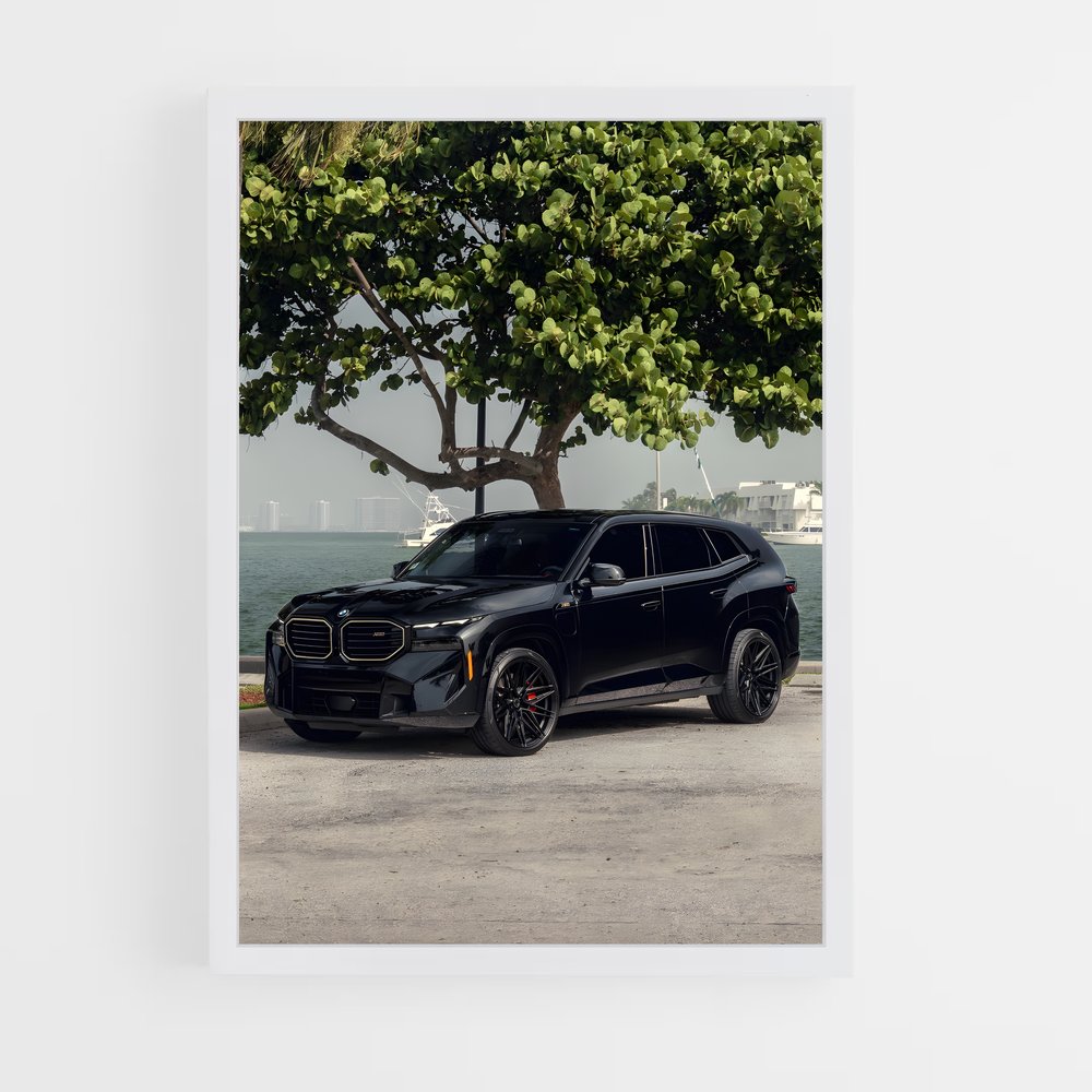 Poster BMW & Nature (vue 3)