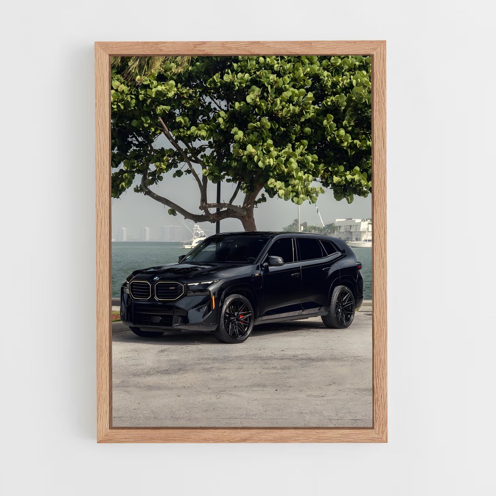 Poster BMW & Nature (vue 4)