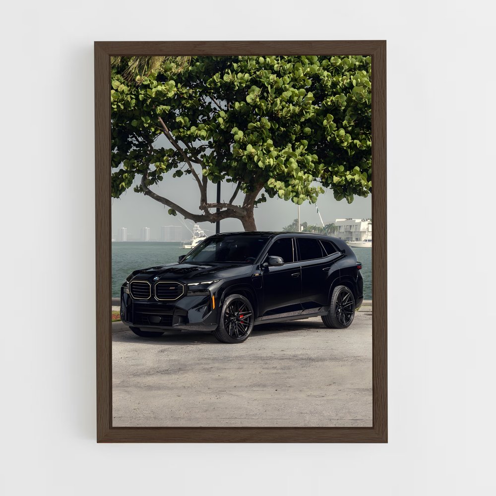 Poster BMW & Nature (vue 5)