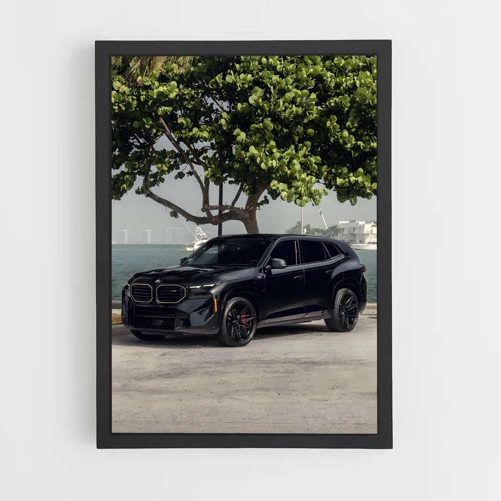 Poster BMW & Nature (vue 2)