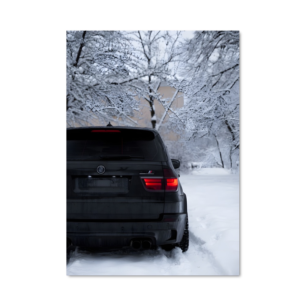 Poster Noir sur Neige