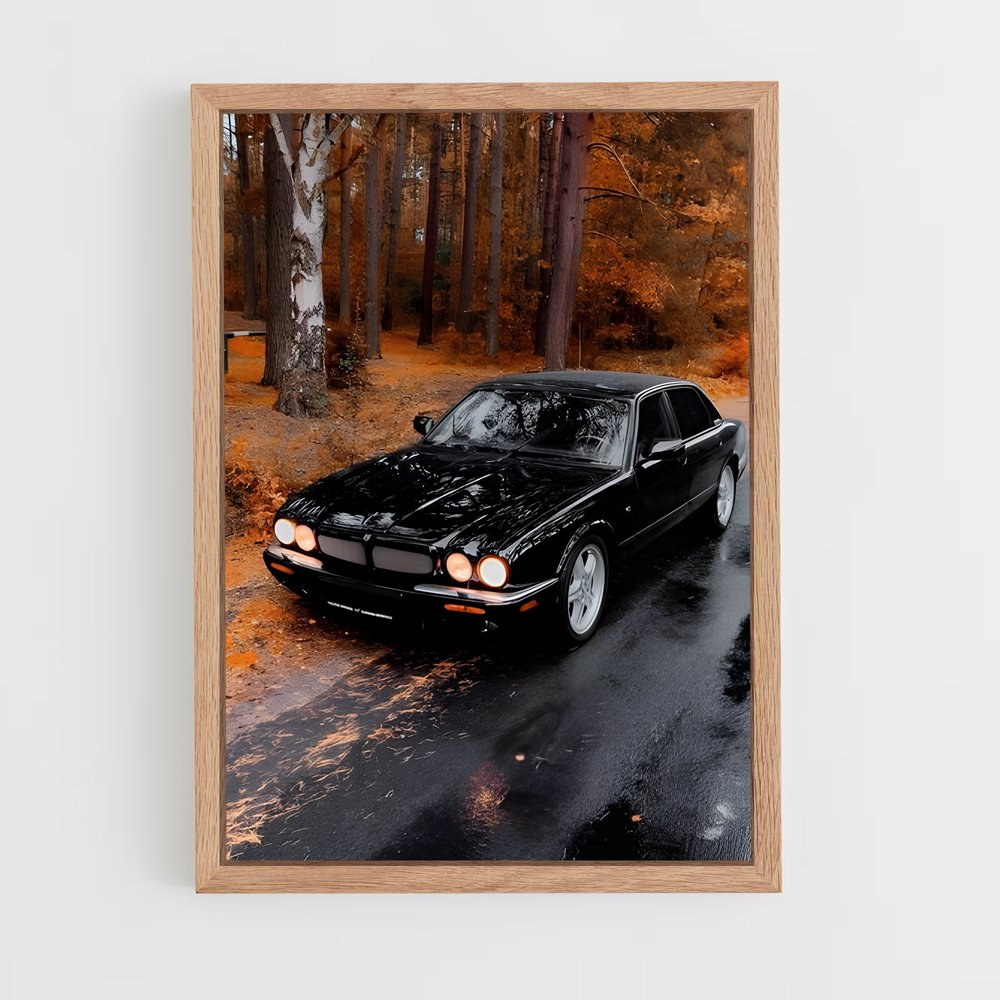 Poster Noir de Pluie – affiche Jaguar (vue 4)