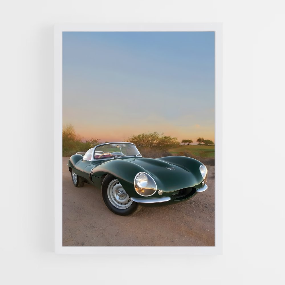 Poster Jaguar Sauvage (vue 3)