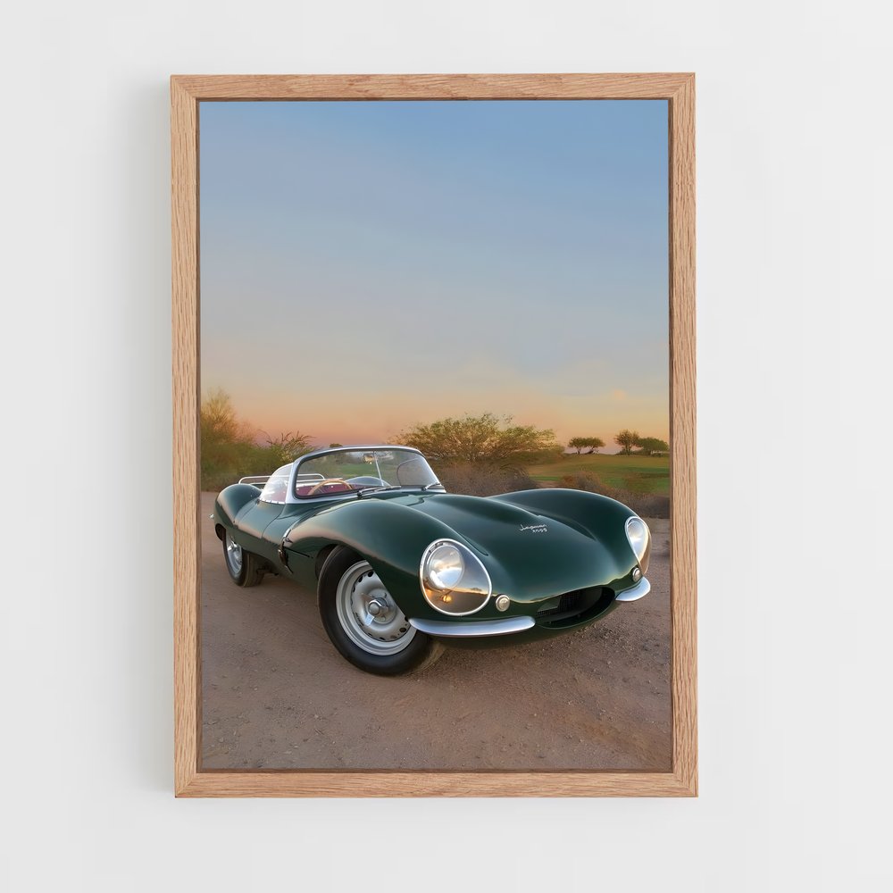 Poster Jaguar Sauvage (vue 4)