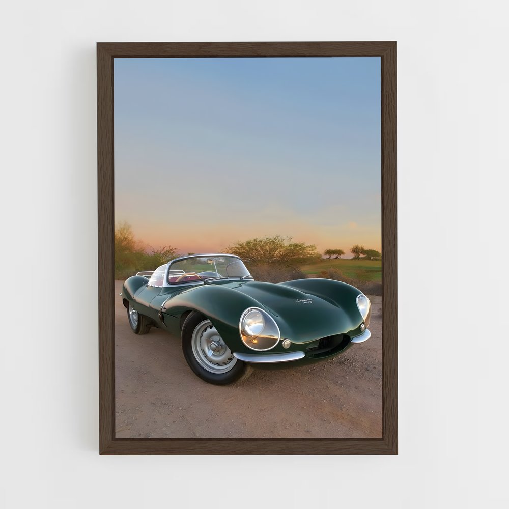 Poster Jaguar Sauvage (vue 5)