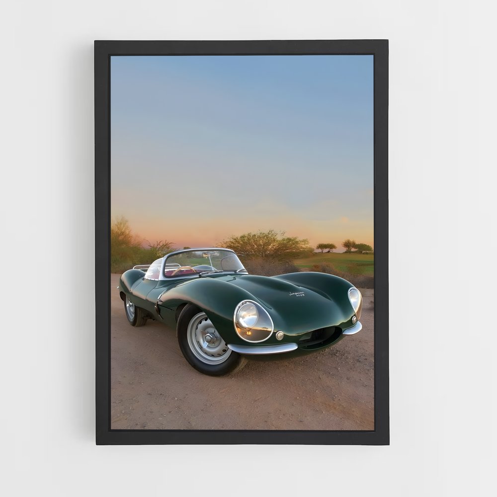 Poster Jaguar Sauvage (vue 2)