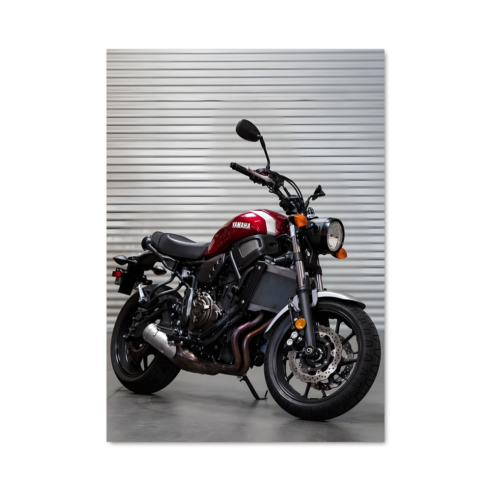 Poster Xsr magnifique