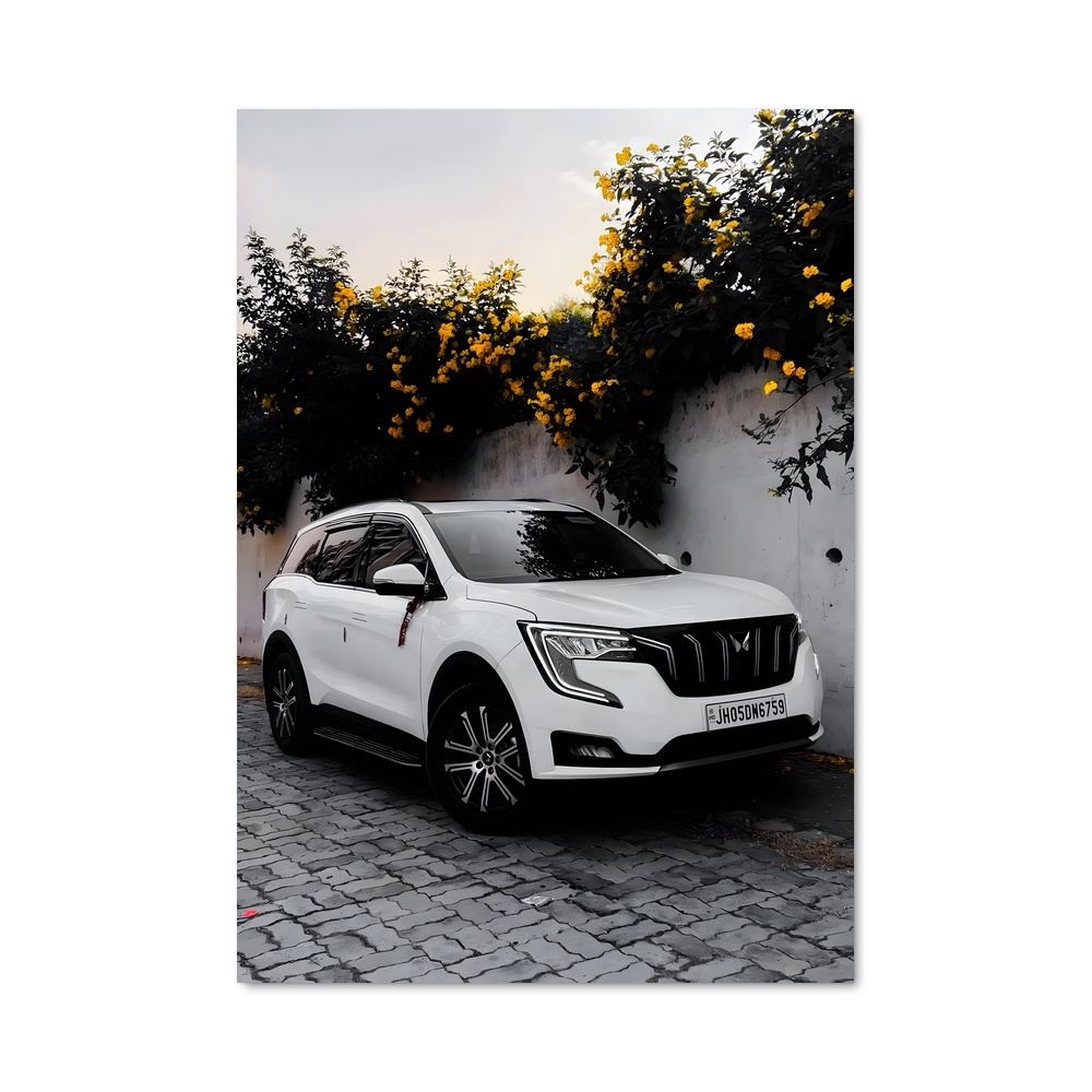 Poster Xuv charme