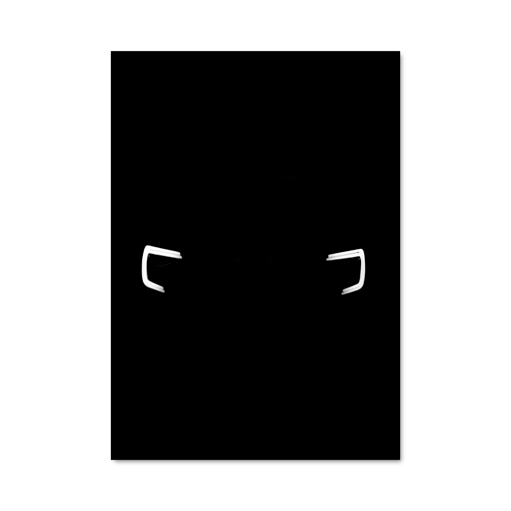 Poster Xuv visage